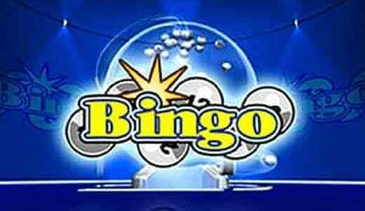 Bingo Bingo