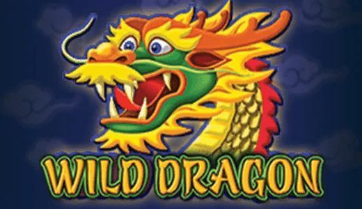 Wild Dragon Wild Dragon